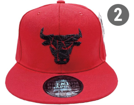 Embroidered Snapback Hat | Chicago Sports
