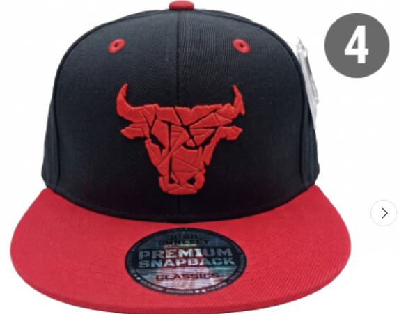 Embroidered Snapback Hat | Chicago Sports