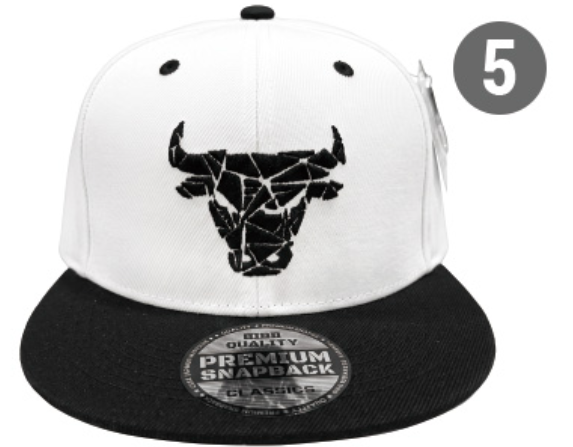 Embroidered Snapback Hat | Chicago Sports