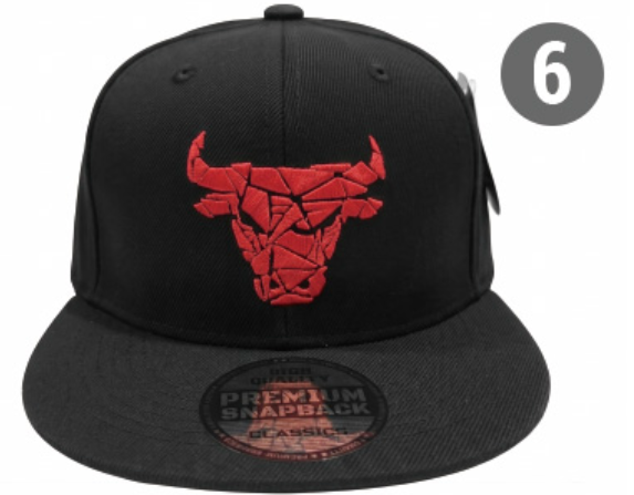 Embroidered Snapback Hat | Chicago Sports