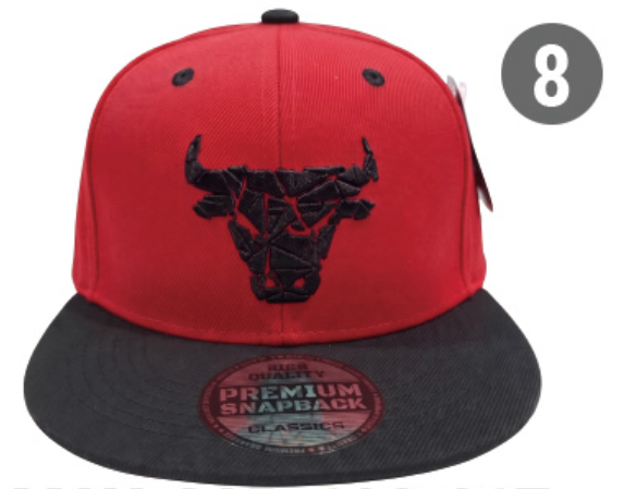 Embroidered Snapback Hat | Chicago Sports