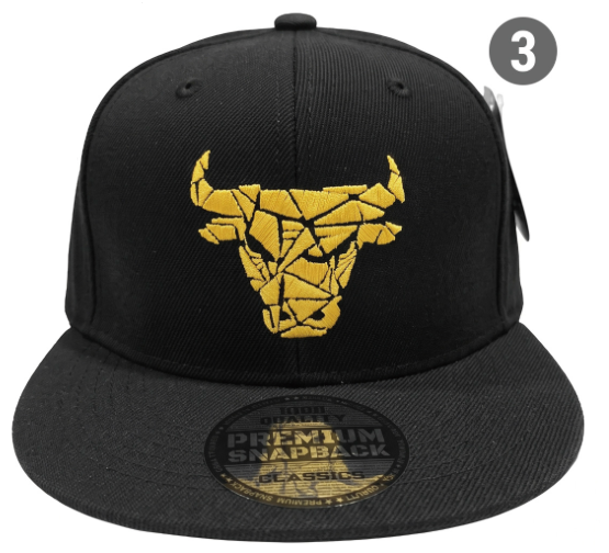 Embroidered Snapback Hat | Chicago Sports