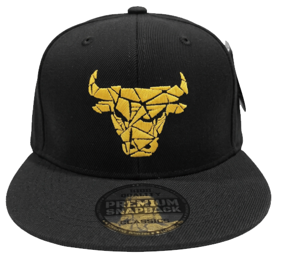 Embroidered Snapback Hat | Chicago Sports