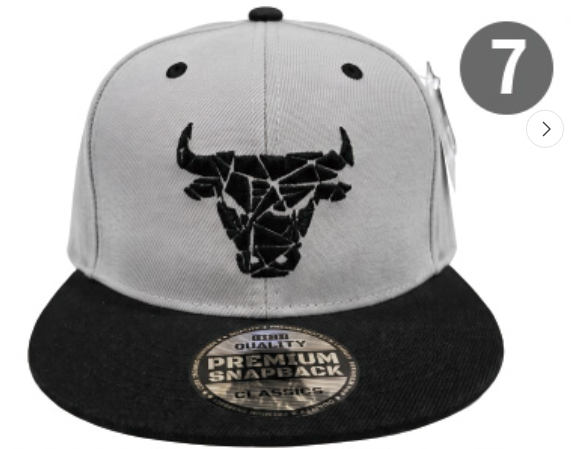 Embroidered Snapback Hat | Chicago Sports