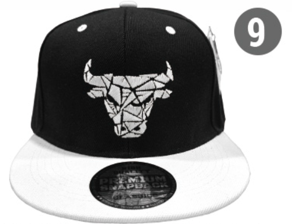 Embroidered Snapback Hat | Chicago Sports
